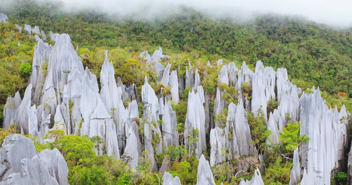 Complete Borneo Travel Guide and Tourist Attractions