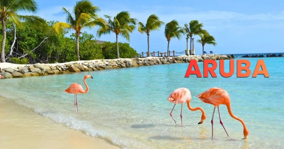 Aruba Beaches Guide Where To Stay and Things To Do
