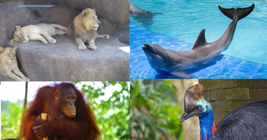 Bali Zoo Family Travel Guide 2026
