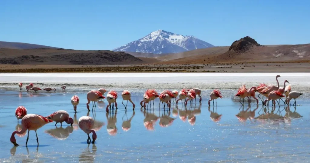 Explore Bolivia Best Places Travel Tips and Food